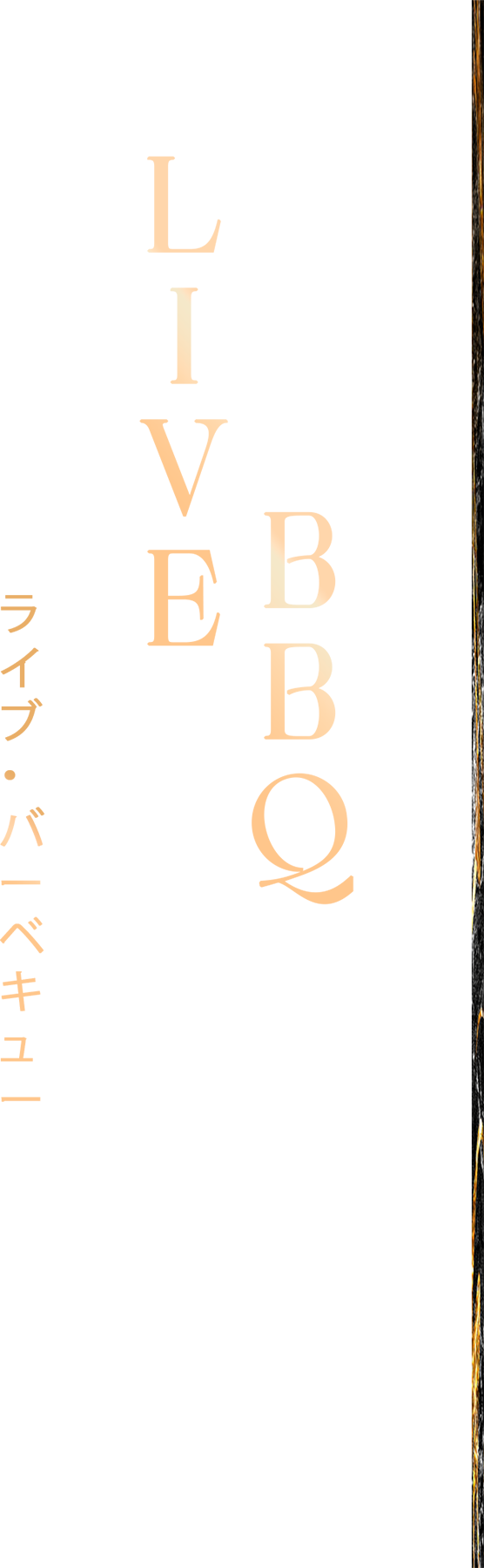 TT4
